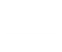Wahl Professional